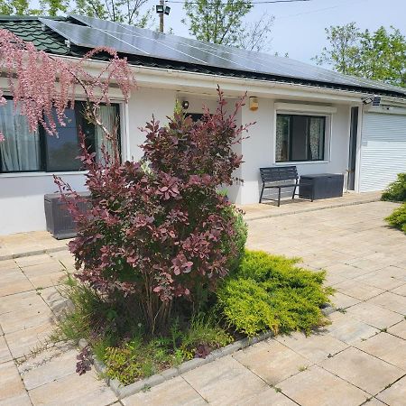 Casa Elis Piscina, Jacuzzy , Sauna, Ciubar Merei Eksteriør bilde