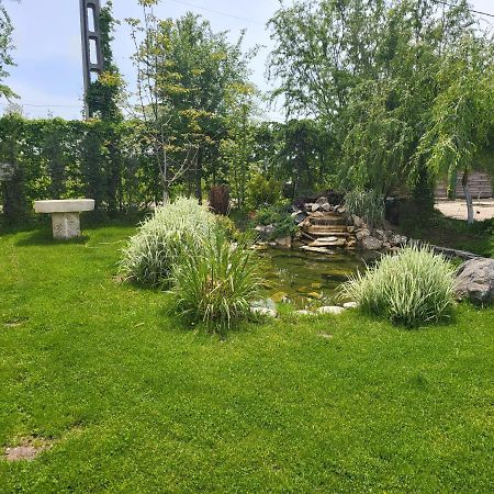 Casa Elis Piscina, Jacuzzy , Sauna, Ciubar Merei Eksteriør bilde