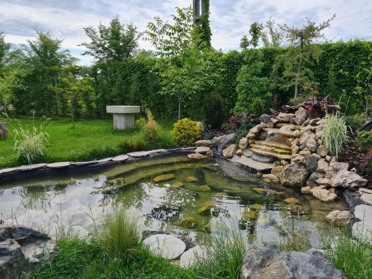 Casa Elis Piscina, Jacuzzy , Sauna, Ciubar Merei Eksteriør bilde